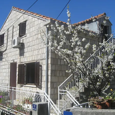 Nikolina Guest house 3*